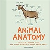 Thumbnail Animal Anatomy