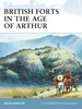 Thumbnail British Forts in the Age of Arthur