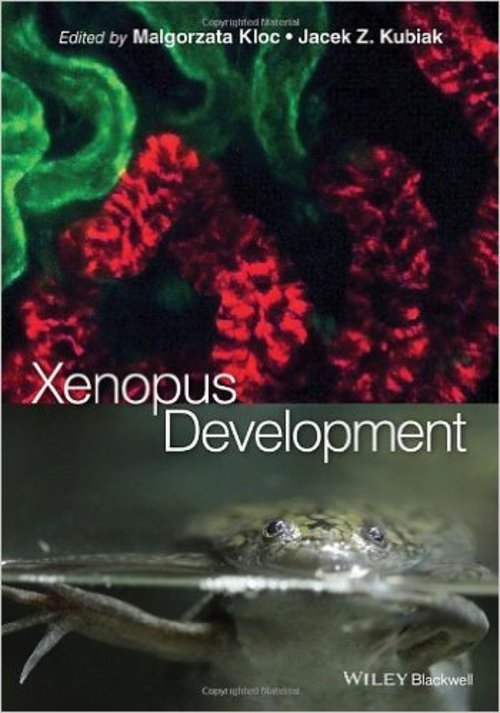 Product picture Xenopus Development