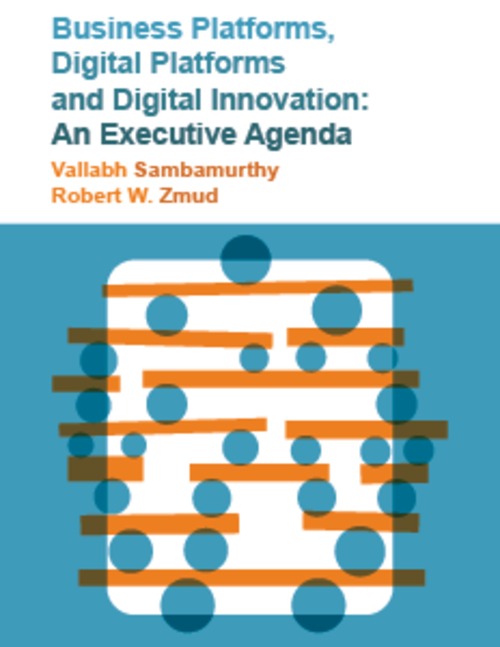 Product picture Business Platforms, Digital Platforms and Digital Innovation