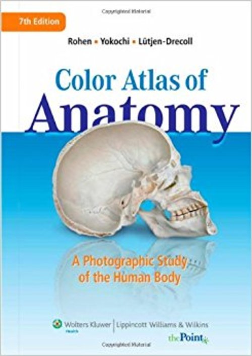Product picture Color Atlas of Anatomy (7th Edition)