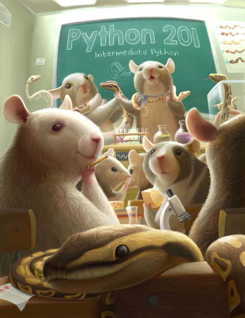 Product picture Python 201 - Intermediate Python