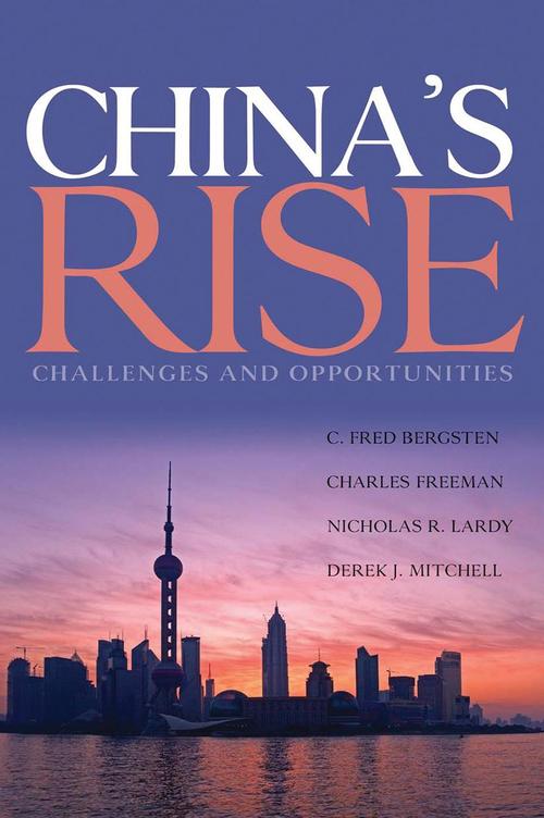 Product picture China Rise - Challenges and Opportunities