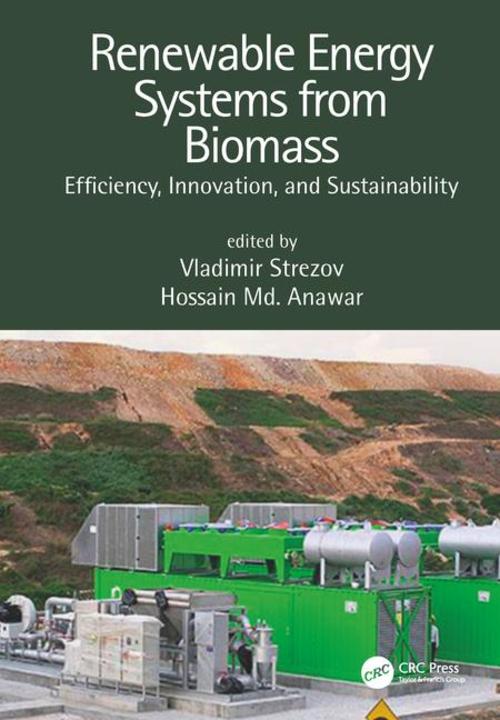 Product picture Renewable Energy Systems from Biomass