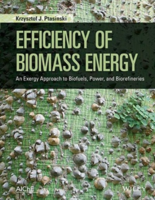 Product picture Efficiency of Biomass Energy