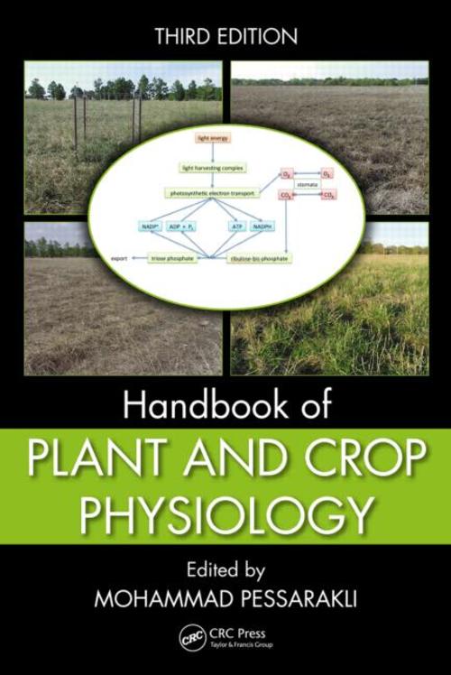 Product picture Handbook of Plant and Crop Physiology