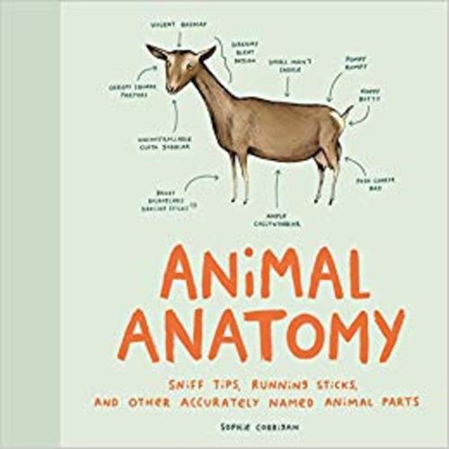 Product picture Animal Anatomy