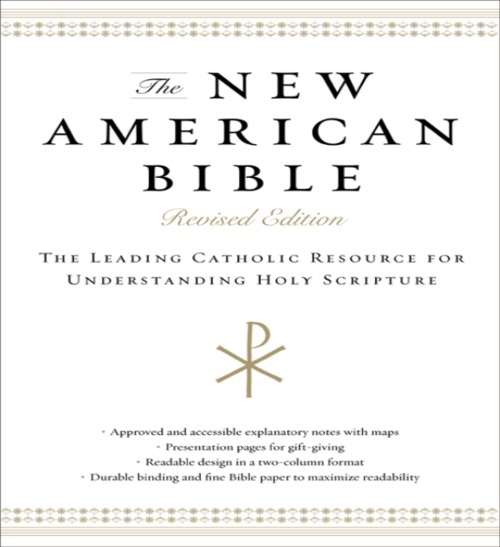 Product picture New American Bible